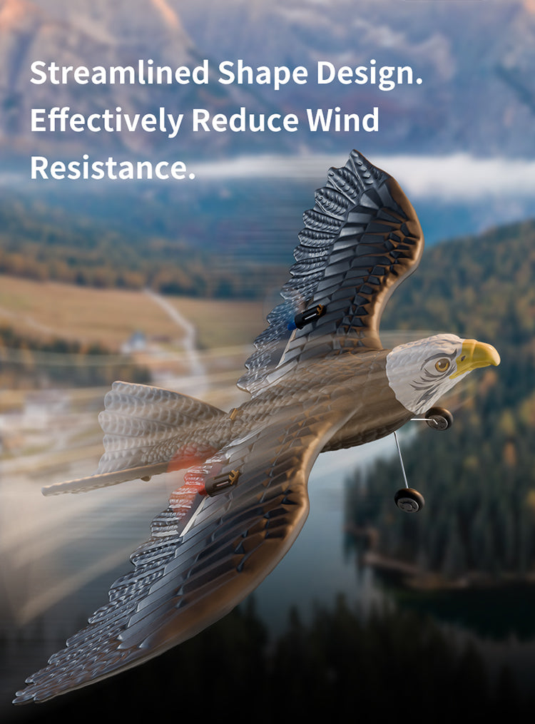 RC Eagle For Kids Trendy zone