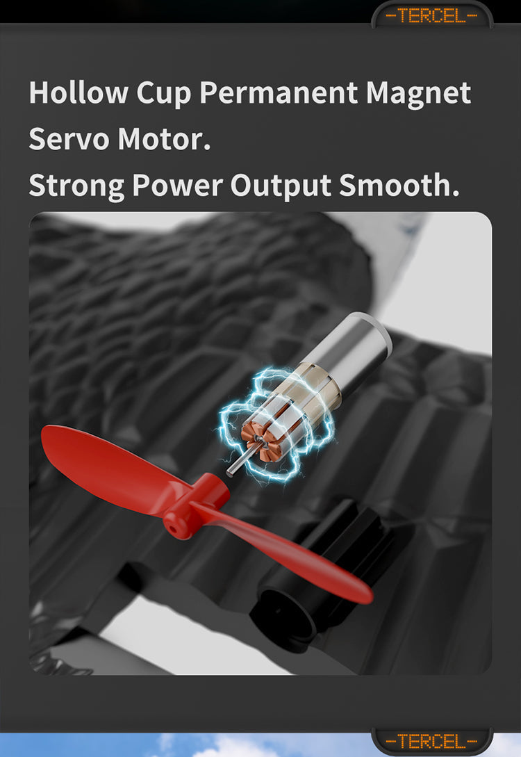 RC Eagle For Kids Trendy zone