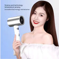 Ionic Hair Dryer Trendy Zone